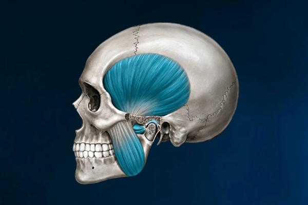 Imagem do curso:  Diagnóstico e Planejamento Funcional Craniomandibular